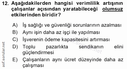 12. soru: Aşağıdakilerden hangisi verimlilik artışının çalışanlar açısından yaratabileceği olumsuz etkilerinden biridir? A) İş…