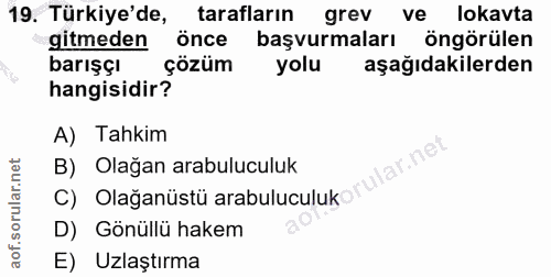 19. soru: Türkiye'de, tarafların grev ve ve lokavta gitmeden önce başvurmaları öngörülen barışcı çözüm yolu aşağıdakilerden han…