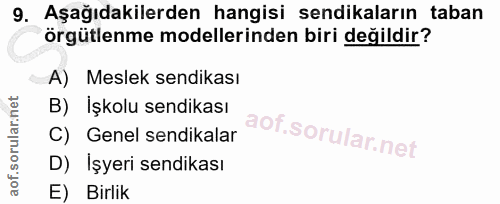 9. soru: Aşağıdakilerden hangisi sendikaların taban örgütlenme modellerinden biri değildir? A) Meslek sendikası B) Işkolu send…