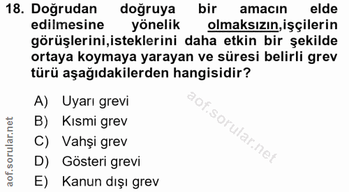 18. soru: Doğrudan doğruya bir amacın elde edilmesine yönelik olmaksızın, işçilerin görüşlerini,isteklerini daha etkin bir şeki…