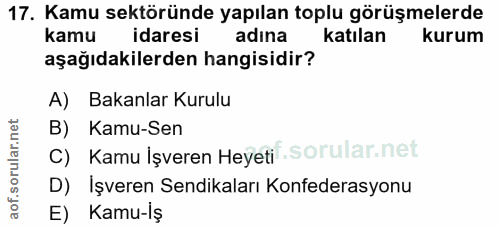 17. soru: Kamu sektöründe yapılan toplu görüşmelerde kamu idaresi adina katılan kurum aşağıdakilerden hangisidir? A) Bakanlar K…