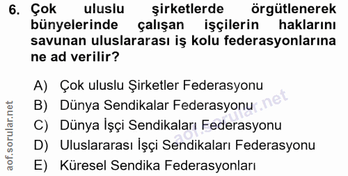 6. soru: Çok uluslu şirketlerde örgütlenerek bünyelerinde çalışan işçilerin haklarını savunan uluslararası iş kolu federasyonl…