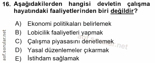 16. soru: Aşağıdakilerden hangisi devletin çalışma hayatındaki faaliyetlerinden biri değildir? A) Ekonomi politikaları belirlem…