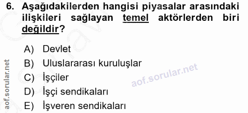 6. soru: Aşağıdakilerden hangisi piyasalar arasındaki ilişkileri sağlayan temel aktörlerden biri değildir? A) Devlet B) Ulusla…