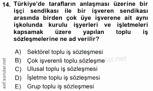 14. soru: Türkiye'de tarafların anlaşması üzerine bir işçi sendikası ile bir işveren sendikası arasında birden çok üye işverene…