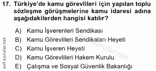 17. soru: Türkiye'de kamu görevlileri için yapılan toplu sözleşme görüşmelerine kamu idaresi adına aşağıdakilerden hangisi katı…