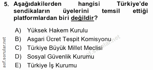 5. soru: Aşağıdakilerden hangisi Türkiye'de sendikaların üyelerini temsil ettiği platformlardan biri değildir? A) Yüksek Hakem…