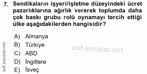 7. soru: Sendikaların işyeri/işletme düzeyindeki ücret pazarlıklarına ağırlık vererek toplumda daha çok baskı grubu rolü oynam…