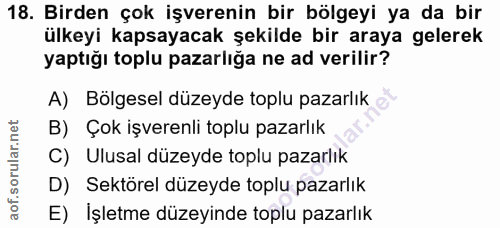 18. soru: Birden çok işverenin bir bölgeyi ya da bir ülkeyi kapsayacak şekilde bir araya gelerek yaptığı toplu pazarlığa ne ad…
