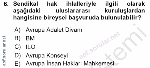 6. soru: Sendikal hak ihlalleriyle ilgili olarak aşağıdaki uluslararası kuruluşlardan hangisine bireysel başvuruda bulunulabil…