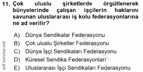 11. soru: Çok uluslu şirketlerde örgütlenerek bünyelerinde çalışan işçilerin haklarını savunan uluslararası iş kolu federasyonl…