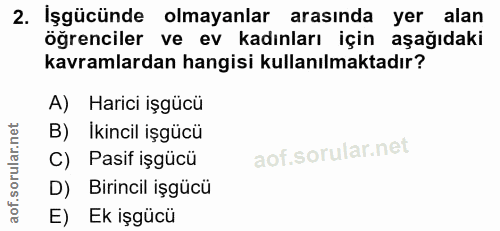 2. soru: İşgücünde olmayanlar arasında yer alan öğrenciler ve ev kadınları için aşağıdaki kavramlardan hangisi kullanılmaktadı…