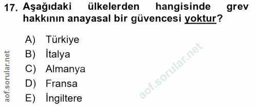 17. soru: Aşağıdaki ülkelerden hangisinde grev hakkının anayasal bir güvencesi yoktur? A) Türkiye B) Italya C) Almanya D) Frans…