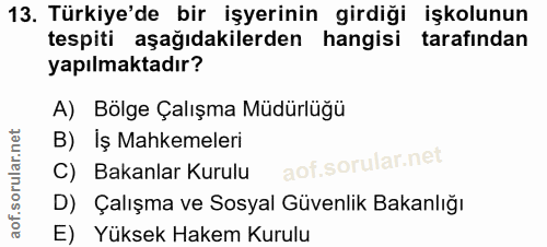 13. soru: Türkiye'de bir işyerinin girdiği işkolunun tespiti aşağıdakilerden hangisi tarafından yapılmaktadır? A) Bolge Çalışma…