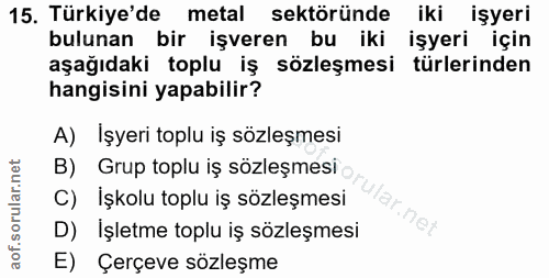 15. soru: Türkiye'de metal sektöründe iki işyeri bulunan bir işveren bu iki işyeri için aşağıdaki toplu iş sözleşmesi türlerind…