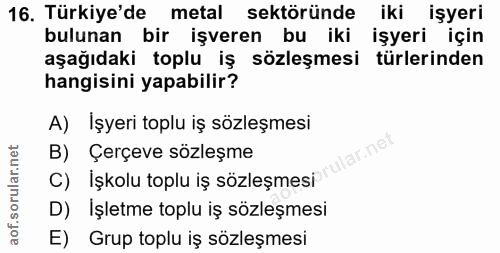 16. soru: Türkiye'de metal sektöründe iki işyeri bulunan bir işveren bu iki işyeri için aşağıdaki toplu iş sözleşmesi türlerind…