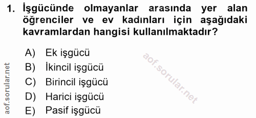 1. soru: İşgücünde olmayanlar arasında yer alan öğrenciler ve ev kadınları için aşağıdaki kavramlardan hangisi kullanılmaktadı…