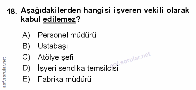 18. soru: Aşağıdakilerden hangisi işveren vekili olarak kabul edilemez? A) Personel müdürü B) Ustabaşı D) İşyeri sendika temsil…