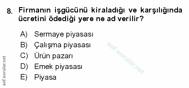 8. soru: Firmanın işgücünü kiraladığı ve karşılığında ücretini ödediği yere ne ad verilir? A) Sermaye piyasası B) Çalışma piya…