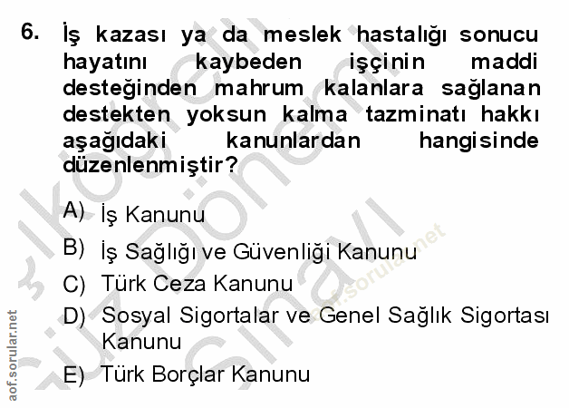 6. soru: İş kazası ya da meslek hastalığı sonucu hayatını / kaybeden işçinin maddi desteginden mahrum kalanlara saglanan deste…