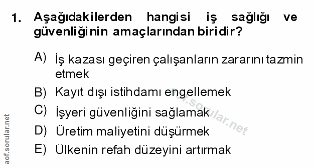 1. soru: Aşağıdakilerden hangisi iş sağlığı ve güvenliği nin amaçlarından biridir? A) İş kazası geçiren çalışanların zararını…