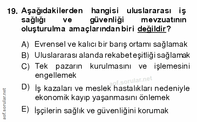 19. soru: Aşağıdakilerden hangisi uluslararası iş sagliğı ve güvenligi mevzuatinin oluşturulma amaçlarından biri değildir? A) E…