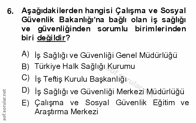6. soru: Aşağıdakilerden hangisi Çalışma ve Sosyal Güvenlik Bakanlığı'na bağlı olan iş sağlığı ve güvenliğinden sorumlu biriml…