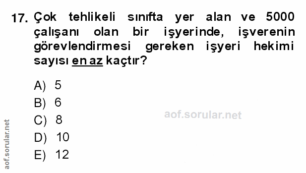 17. soru: Çok tehlikeli sınıfta yer alan ve 5000 çalışanı olan bir işyerinde, işverenin görevlendirmesi gereken işyeri hekimi s…