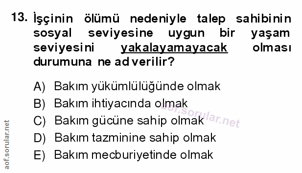 13. soru: İşçinin ölümü nedeniyle talep sahibinin sosyal seviyesine uygun bir yaşam seviyesini yakalayamayacak olması durumuna…