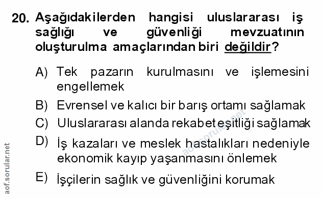 20. soru: Aşağıdakilerden hangisi uluslararası iş sağlığı ve güvenligi mevzuatının oluşturulma amaçlarından biri değildir? A) T…