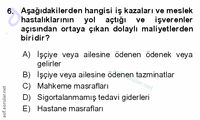 6. soru: Aşağıdakilerden hangisi iş kazaları ve meslek hastalıklarının yol açtığı ve işverenler açısından ortaya çıkan dolaylı…