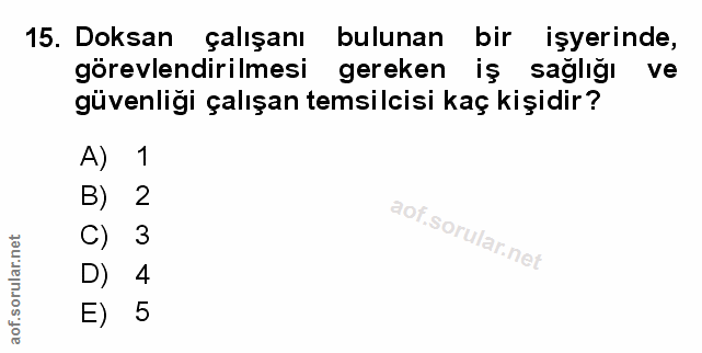 15. soru: Doksan çalışanı bulunan bir işyerinde, görevlendirilmesi gereken iş sağlığı ve güvenliği çalışan temsilcisi kaç kişid…
