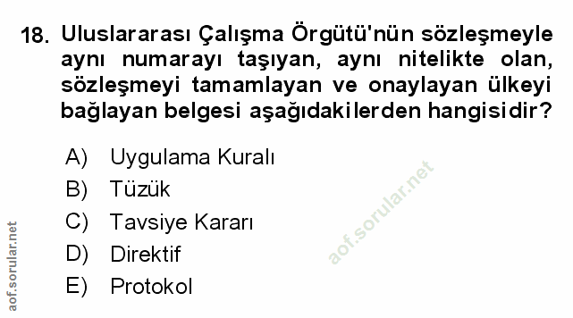 18. soru: Uluslararası Çalışma Örgütü'nün sözleşmeyle aynı numarayı taşıyan, aynı nitelikte olan, sözleşmeyi tamamlayan ve onay…