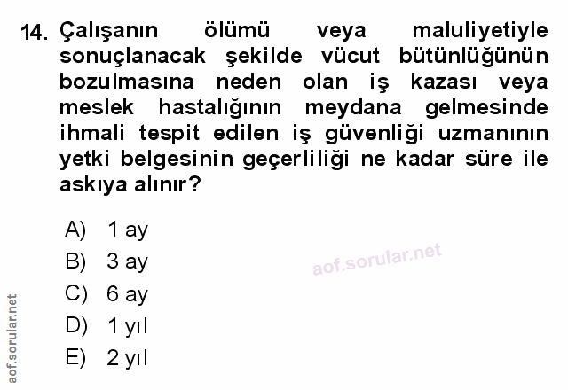 14. soru: Çalışanın ölümü veya maluliyetiyle sonuçlanacak şekilde vücut bütünlüğünün bozulmasına neden olan iş kazası veya mesl…