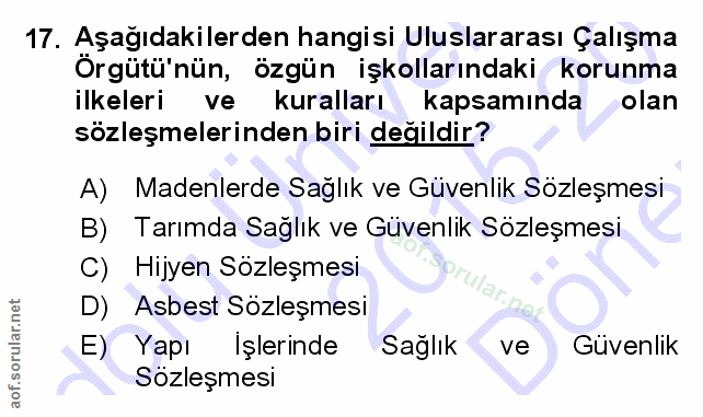 17. soru: Aşağıdakilerden hangisi Uluslararası Çalışma Örgütü'nün, özgün işkollarındaki korunma ilkeleri ve kuralları kapsamınd…