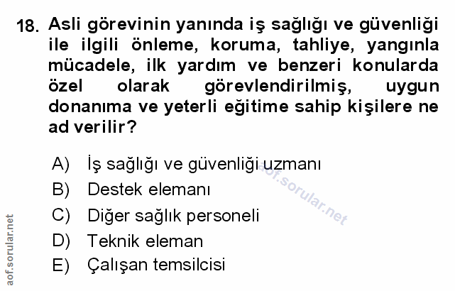 18. soru: Asli görevinin yanında iş sağlığı ve güvenliği ile ilgili önleme, koruma, tahliye, yangınla mücadele, ilk yardım ve b…