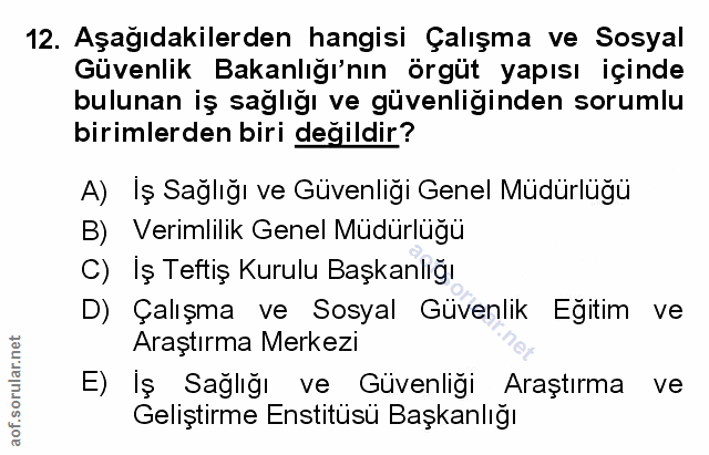 12. soru: Aşağıdakilerden hangisi Çalışma ve Sosyal Güvenlik Bakanlığı'nın örgüt yapısı içinde bulunan iş sağlığı ve güvenliğin…