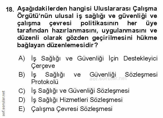 18. soru: Aşağıdakilerden hangisi Uluslararası Çalışma Örgütü'nün ulusal iş sağlığı ve güvenliği ve çalışma çevresi politikasın…