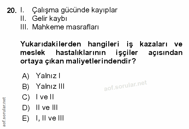 20. soru: I. Çalışma gücünde kayıplar Il. Gelir kaybı III. Mahkeme masrafları Yukarıdakilerden hangileri iş kazaları ve meslek…