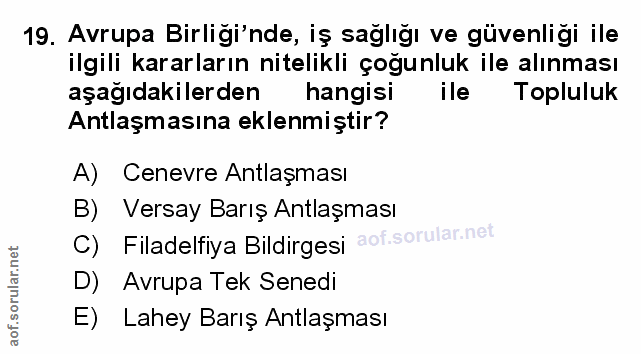 19. soru: Avrupa Birliği'nde, iş sağlığı ve güvenliği ile ilgili kararların nitelikli çoğunluk ile alınması aşağıdakilerden han…