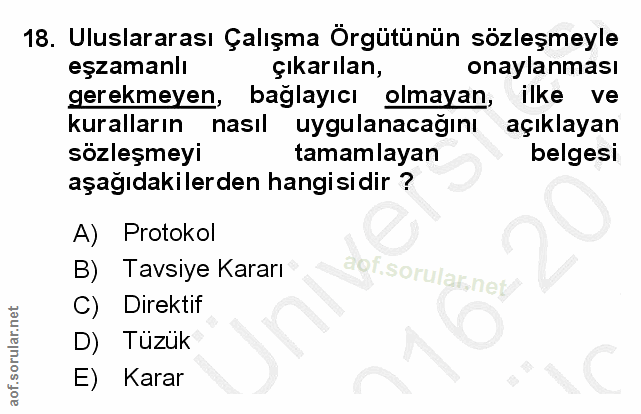 18. soru: Uluslararası Çalışma Örgütünün sözleşmeyle eşzamanlı çıkarılan, onaylanması gerekmeyen, bağlayıcı olmayan, ilke ve ku…