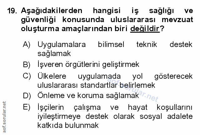 19. soru: Aşağıdakilerden hangisi iş sağlığı ve güvenliği konusunda uluslararası mevzuat oluşturma amaçlarından biri değildir?…