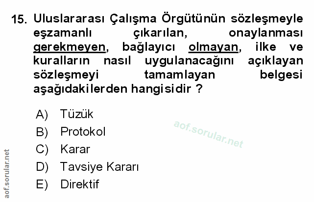 15. soru: Uluslararası Çalışma Örgütünün sözleşmeyle eşzamanlı çıkarılan, onaylanması gerekmeyen, bağlayıcı olmayan, ilke ve ku…