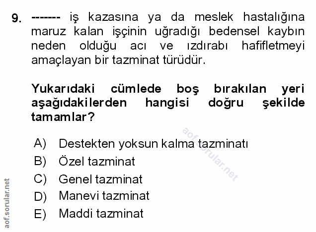 9. soru: -- iş kazasına ya da meslek hastalığına maruz kalan işçinin uğradığı bedensel kaybın neden olduğu acı ve ızdırabı haf…