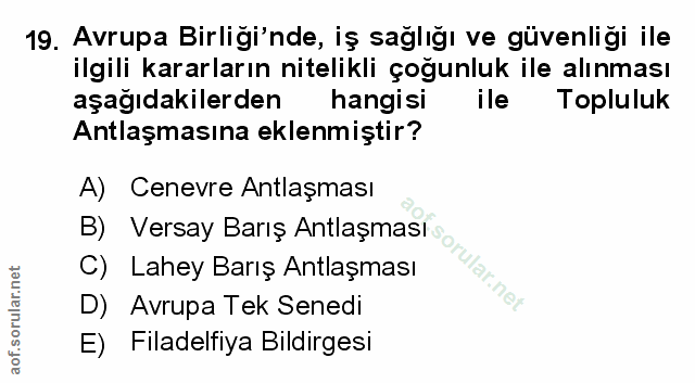 19. soru: Avrupa Birligi'nde, iş sağlığı ve güvenligi ile ilgili kararların nitelikli çoğunluk ile alınması aşağıdakilerden han…