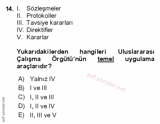 14. soru: 1. Sözleşmeler Il. Protokoller II. Tavsiye kararları IV. Direktifler V. Kararlar Yukarıdakilerden hangileri Uluslarar…