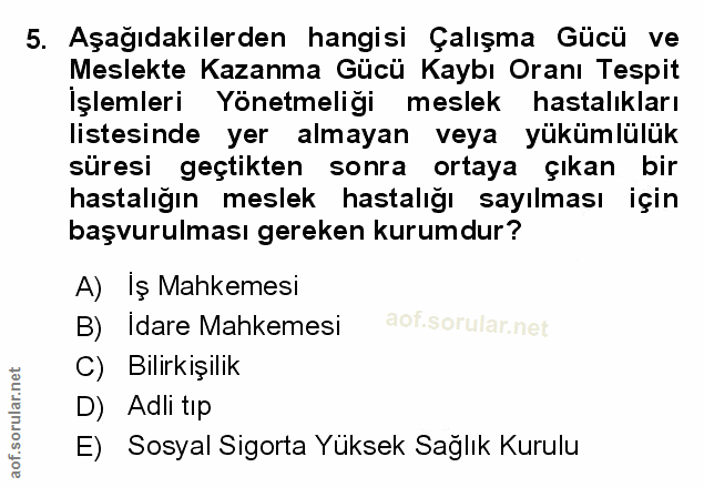5. soru: Aşağıdakilerden hangisi Çalışma Gücü ve Meslekte Kazanma Gücü Kaybı Oranı Tespit İşlemleri Yönetmeliği meslek hastalı…