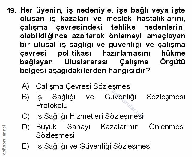 19. soru: Her üyenin, iş nedeniyle, işe bağlı veya işte oluşan iş kazaları ve meslek hastalıklarını, çalışma çevresindeki tehli…