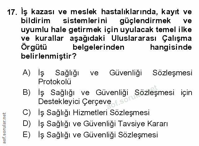 17. soru: Iş kazası ve meslek hastalıklarında, kayıt ve bildirim sistemlerini güçlendirmek ve uyumlu hale getirmek için uyulaca…