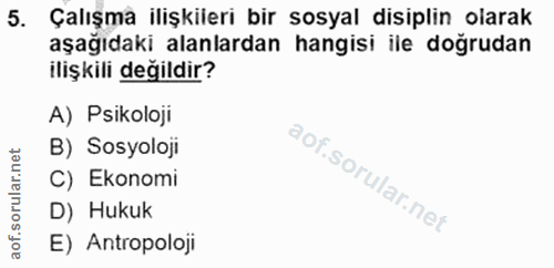 5. soru: Çalışma ilişkileri bir sosyal disiplin olarak aşağıdaki alanlardan hangisi ile doğrudan ilişkili değildir? A) Psikolo…